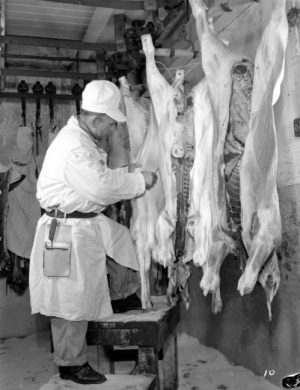 Grayscale full shot of a man stepping on a work platform on the left while skinning an animal that hangs upside down on the right. The body of another animal hangs in a vertical position next to the one being skinned. The man wears a white coat and hat over his personal clothing.