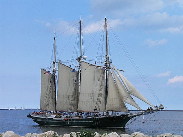 Wide shot of the S/V Denis Sullivan with its six white-colored open sails on a body of water. Some sailboats and a blue sky are visible in the background.