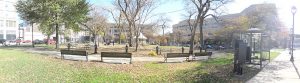 The panoramic view of Zeidler Union Square Park showcases its lawns and four benches near the foreground. Leafless trees are visible in the distance. The one with green leaves stands on the left back. A covered bus stop, a street light, and a sidewalk are in the right foreground. Buildings appear in the far background.