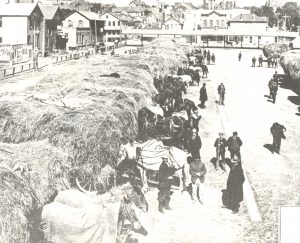 High-angle long shot of the Market Square in grayscale color. On the left portion of the image are horse-drawn wagons lining up side by side carrying many bales of hays. Some people gather in small groups near the horses. Men walking individually appear on the right portion of the photo.