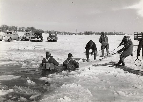 Muksego's lakes have long served as recreational attractions. In this 1941 photo, DNR employees dressed for the cold remove a net used for fish control from Bass Bay, a 100-acre embayment connected to Big Muskego Lake. Cars are parked on the thick ice on the left side of the image.