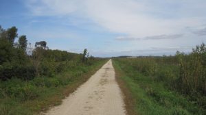 The long track of the Glacial Drumlin State Trail stretches as far as the eye can see. Above is the blue sky. Green bushes flank the trail from foreground to far background.