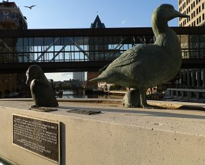 Full shot of Gertie statue on a spot at the Wisconsin Avenue bridge. The sculpture of one of her ducklings is on the left. A historic plaque is attached to the concrete surface below the duckling.